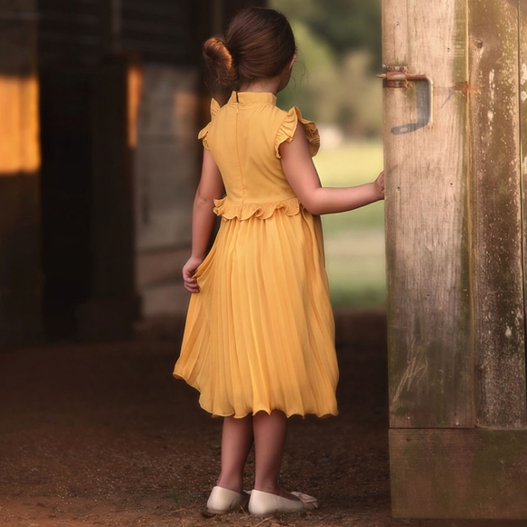 NEW Trish Scully Lucia Dress Size 5 - Picture 3 of 8